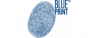 Amortissement BLUE PRINT