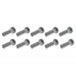 Jeu de 10 boulons de roue