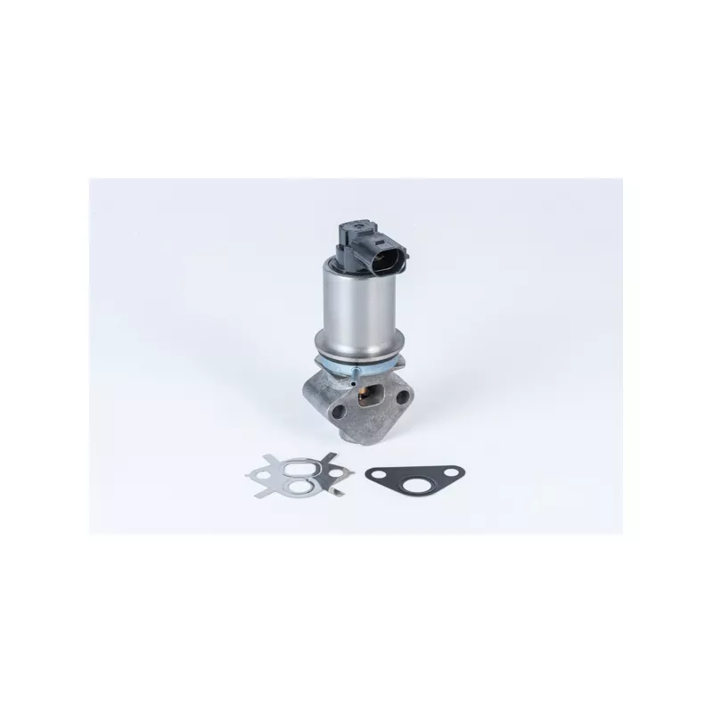 Vanne EGR WAHLER 710780D0