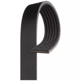 Courroie trapézoïdale à nervures GATES 6PK1248SF
