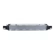 Intercooler, échangeur NRF 309132 - Visuel 3