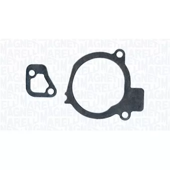 Pompe à eau, refroidissement du moteur MAGNETI MARELLI 350984304000