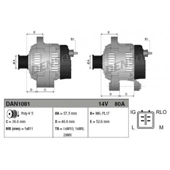 Alternateur DENSO DAN1081