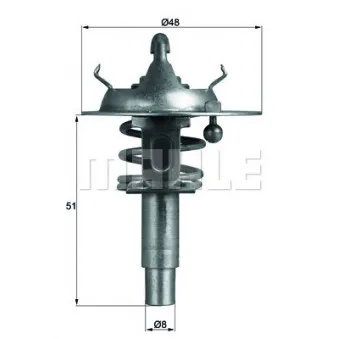 Thermostat d'eau BEHR TX 106 90D