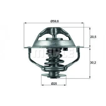 Thermostat d'eau BEHR TX 107 90D