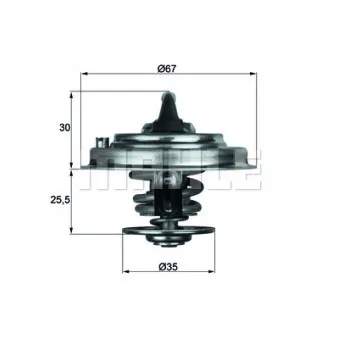 Thermostat d'eau BEHR TX 30 71D