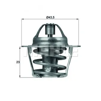 Thermostat d'eau BEHR TX 61 83