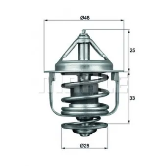 Thermostat d'eau BEHR TX 87 77D