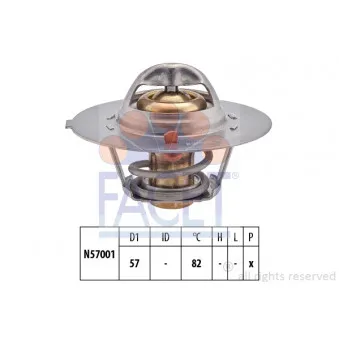 Thermostat d'eau FACET 7.8209S