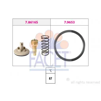 Thermostat d'eau FACET 7.8616