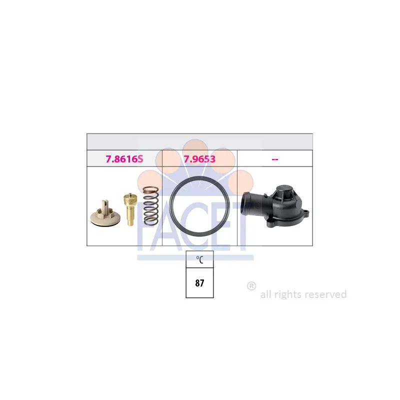 Thermostat d'eau FACET 7.8617K