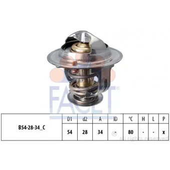 Thermostat d'eau FACET 7.8694S