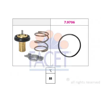 Thermostat d'eau FACET 7.8822