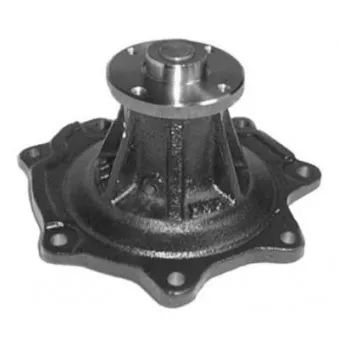 Pompe à eau AISIN WPN-087