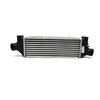 Intercooler, échangeur BSG BSG 30-535-002