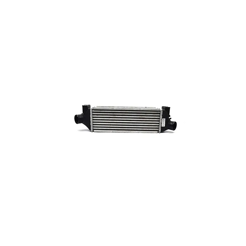 Intercooler, échangeur BSG BSG 30-535-002