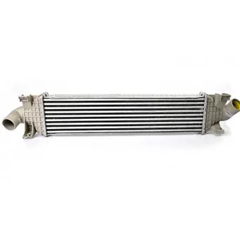 Intercooler, échangeur BSG BSG 30-535-003