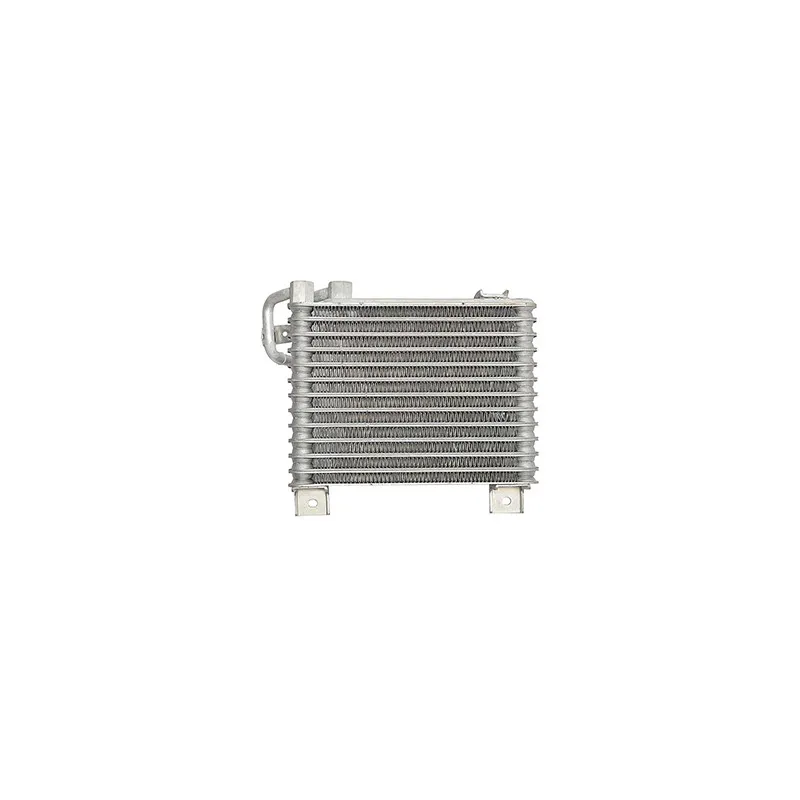 Radiateur d'huile BSG BSG 40-506-004