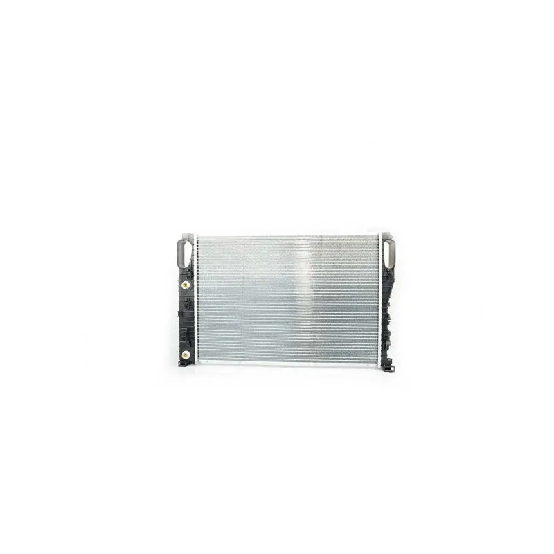 Radiateur, refroidissement du moteur BSG BSG 60-520-036