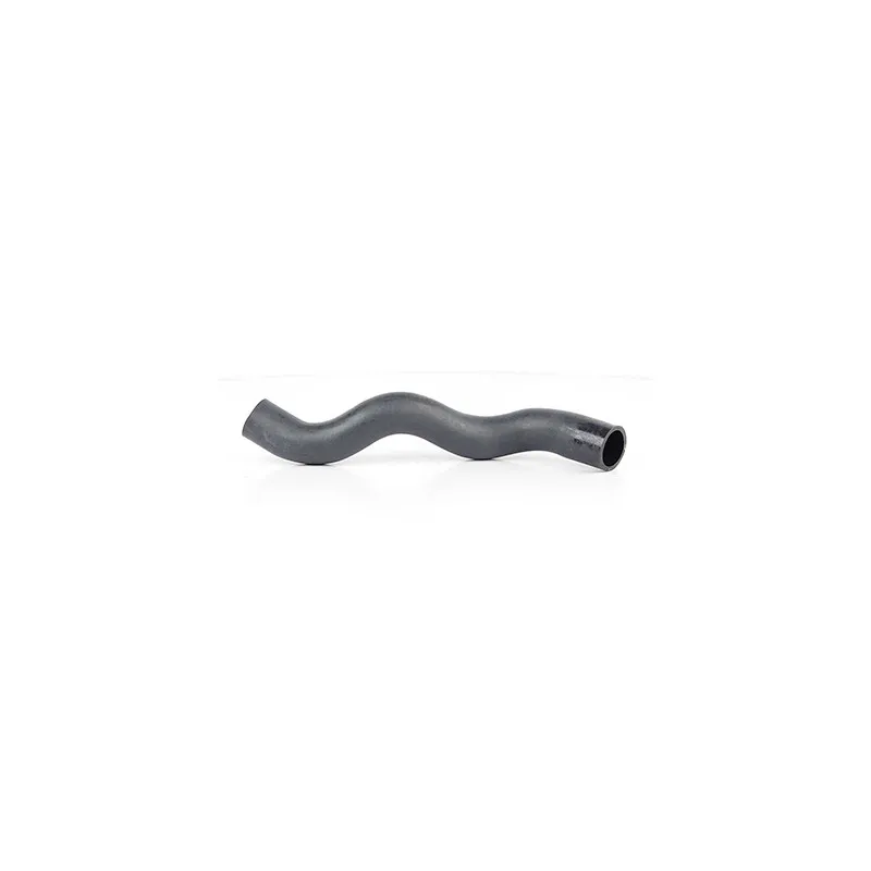 Durite de radiateur BSG BSG 65-720-094