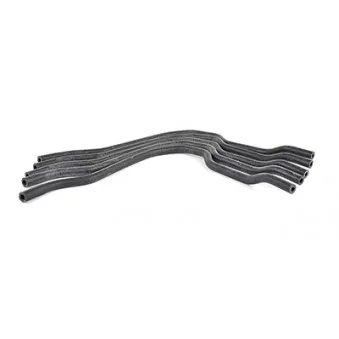 Durite de radiateur BSG BSG 70-720-055