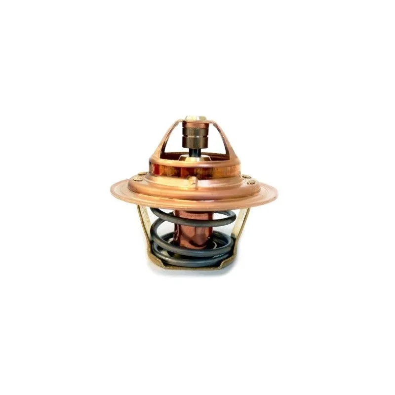 Thermostat d'eau MEAT & DORIA 92388