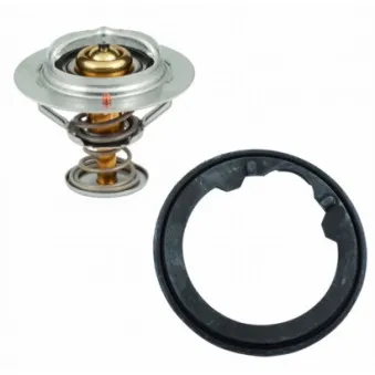 Thermostat d'eau MEAT & DORIA 92417