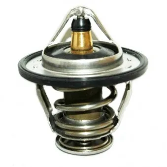 Thermostat d'eau MEAT & DORIA 92733