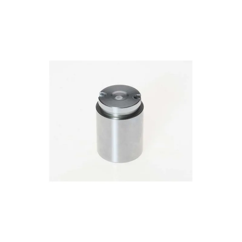 Piston, étrier de frein BUDWEG CALIPER 233428