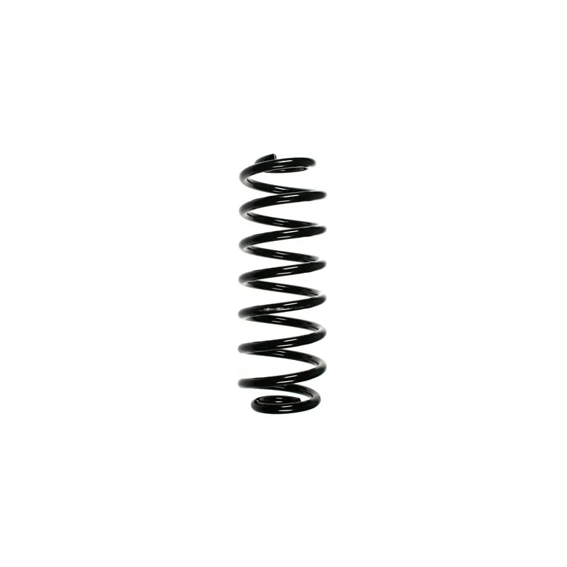 Ressort de suspension SPIDAN 55100