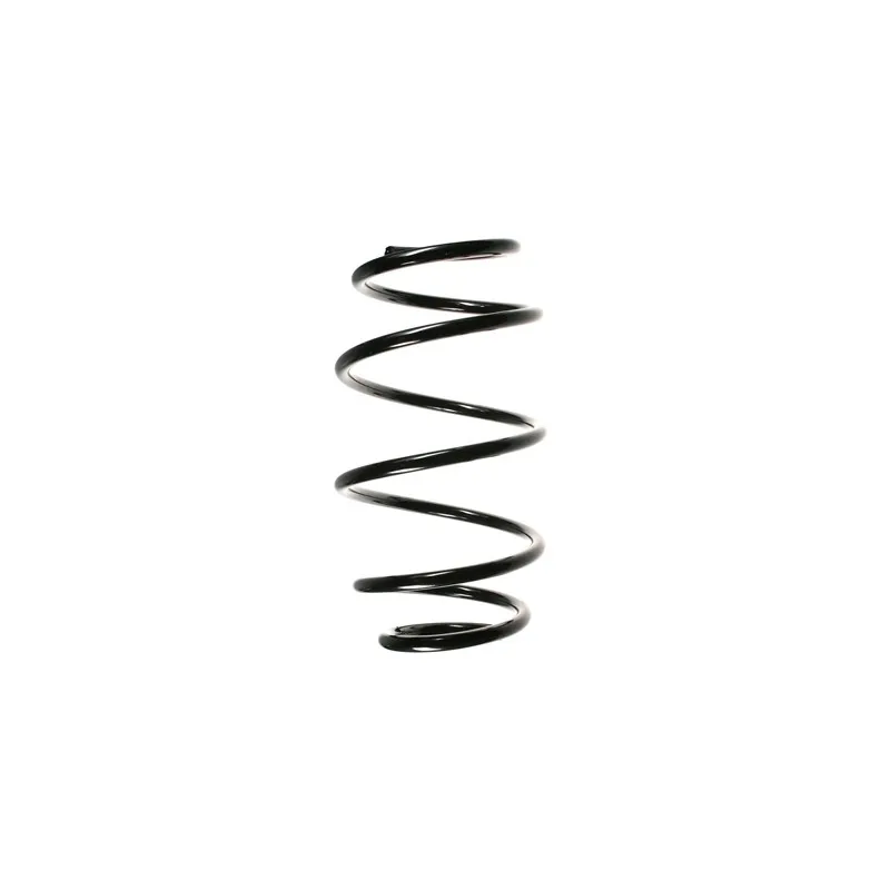 Ressort de suspension SPIDAN 55106