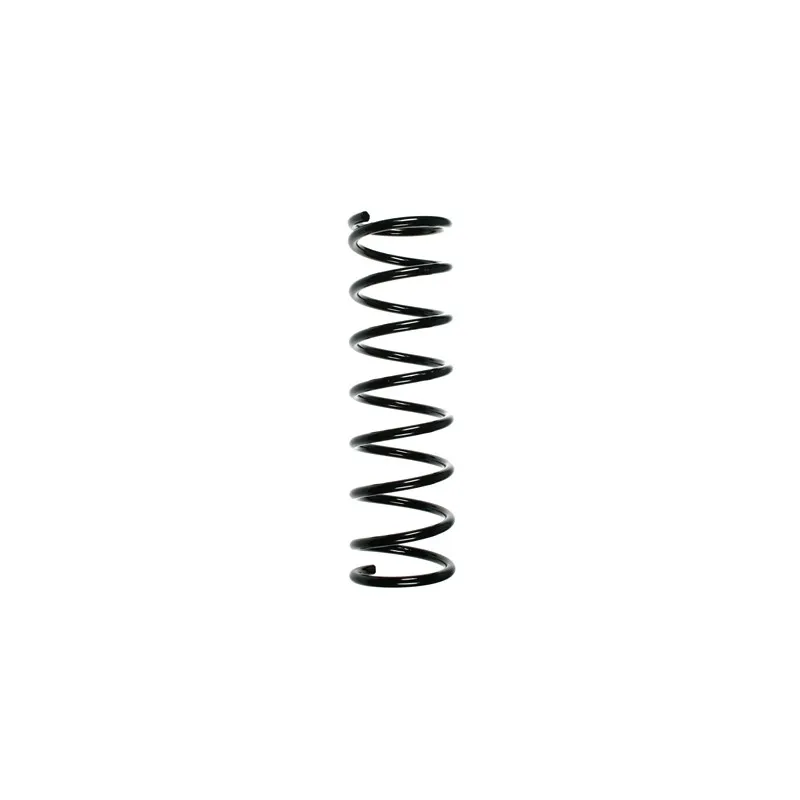 Ressort de suspension SPIDAN 55689