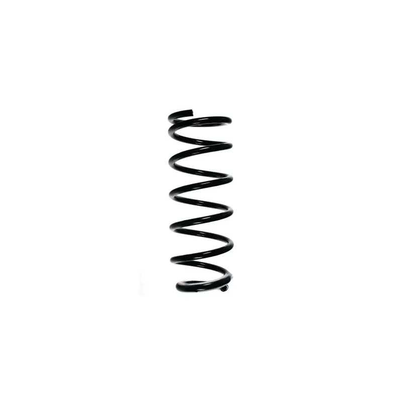 Ressort de suspension SPIDAN 55902