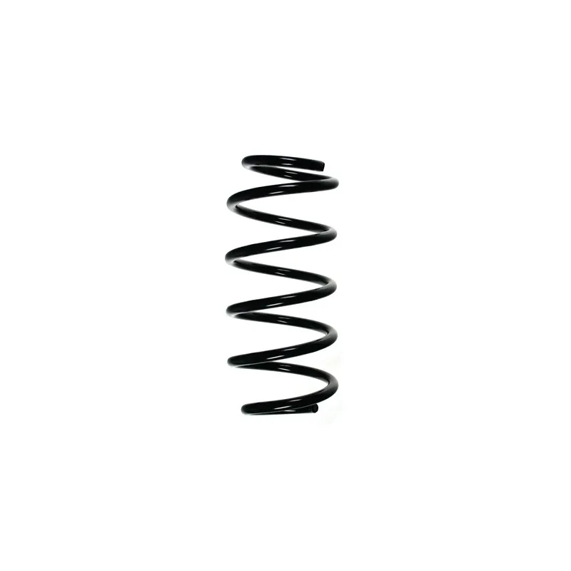 Ressort de suspension SPIDAN 56006