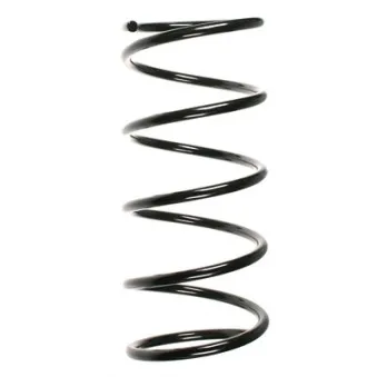 Ressort de suspension SPIDAN 56062