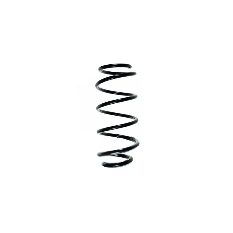 Ressort de suspension SPIDAN 56194