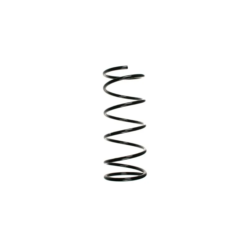 Ressort de suspension SPIDAN 56305