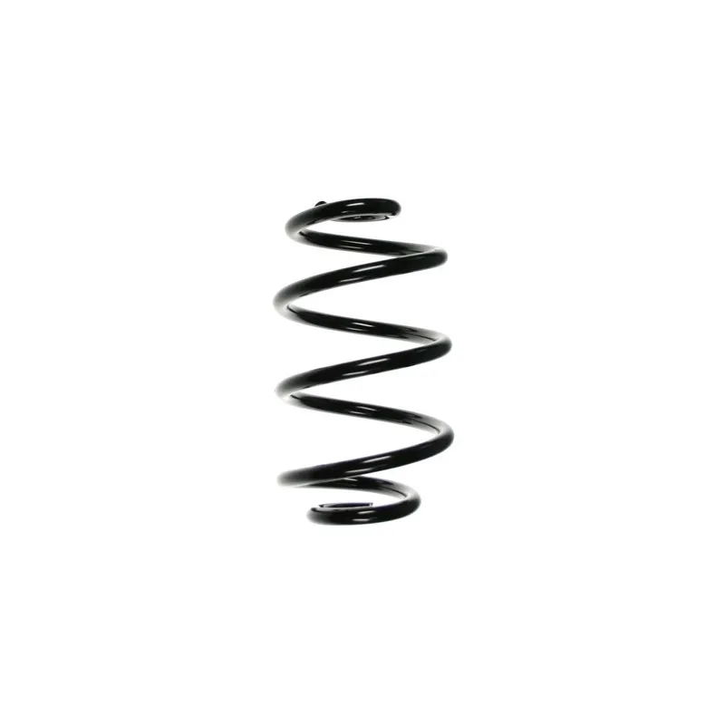 Ressort de suspension SPIDAN 85295
