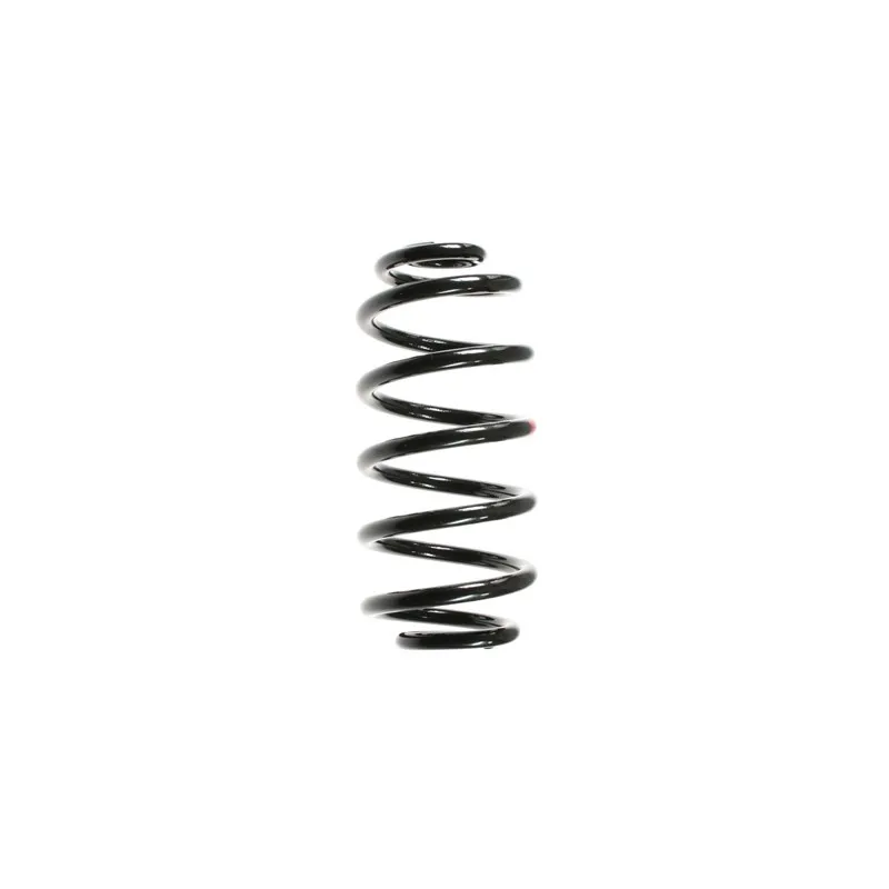 Ressort de suspension SPIDAN 85397