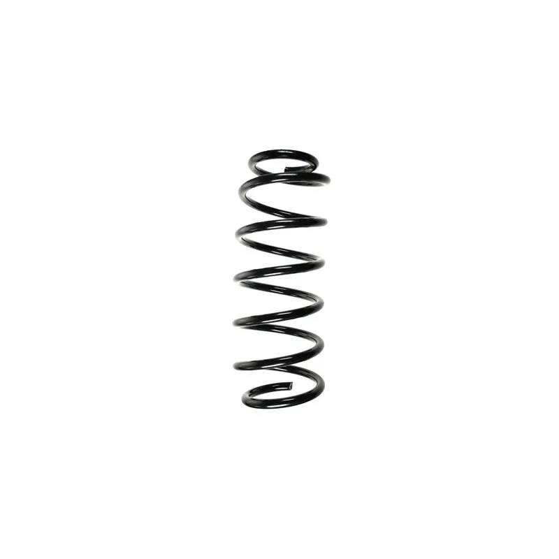 Ressort de suspension SPIDAN 85625