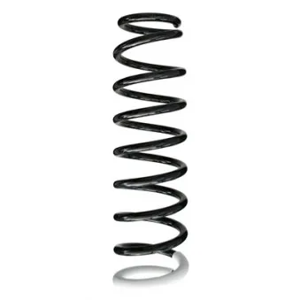 Ressort de suspension SPIDAN 86398