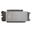 Intercooler, échangeur THERMOTEC DAG014TT - Visuel 2