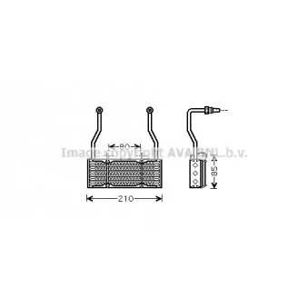 Radiateur d'huile AVA QUALITY COOLING CN3022