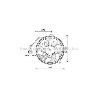 Ventilateur, refroidissement du moteur AVA QUALITY COOLING CN7536