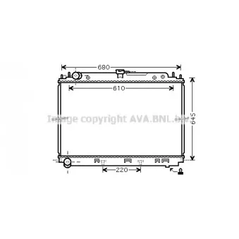 Radiateur, refroidissement du moteur AVA QUALITY COOLING DNA2296