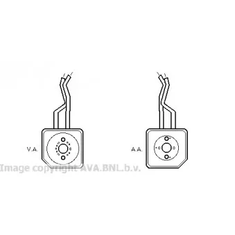 Radiateur d'huile AVA QUALITY COOLING VW3100