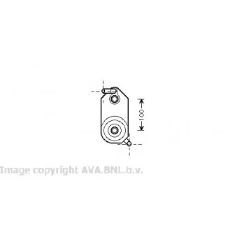 Radiateur d'huile de boîte automatique AVA QUALITY COOLING VW3110