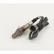 Sonde lambda
