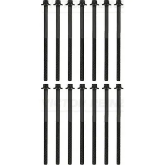 Jeu de boulons de culasse de cylindre VICTOR REINZ 14-12813-02