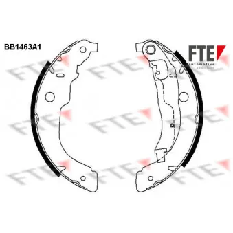 Jeu de mâchoires de frein FTE BB1463A1